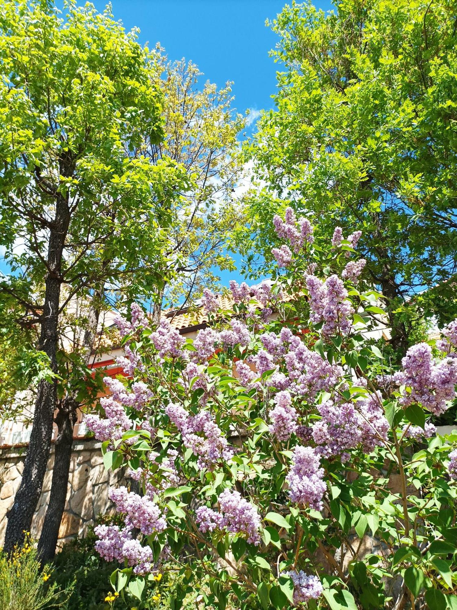 Casa Blanco Βίλα Cercedilla Εξωτερικό φωτογραφία
